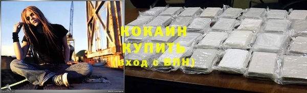 прущие грибы Алексеевка